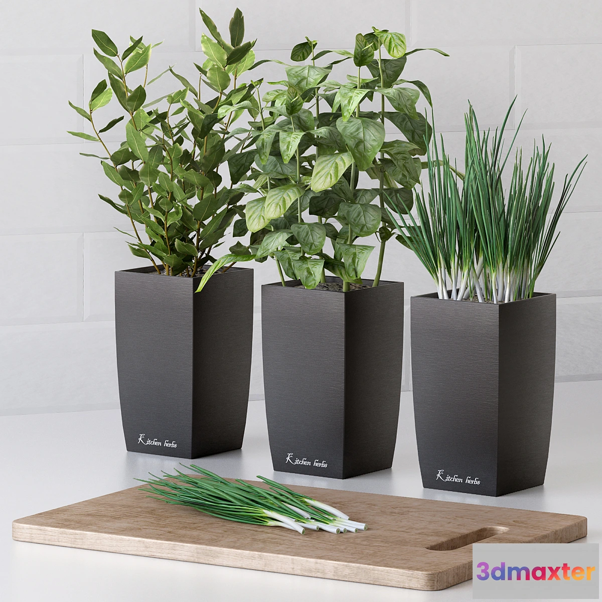 667391 - Plants for the kitchen - No.2