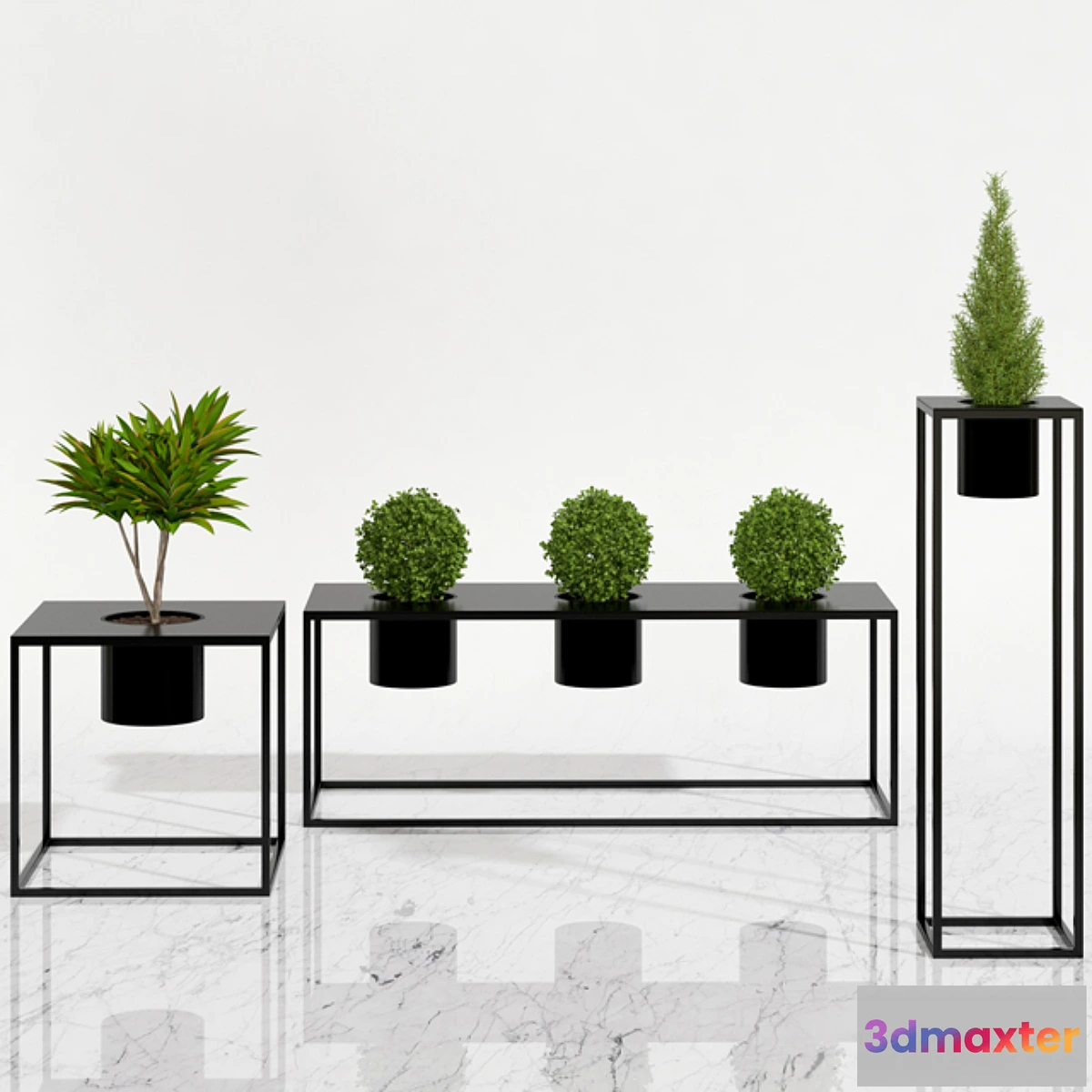 671985 - Potted plants 05