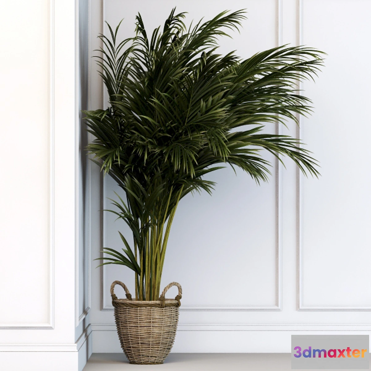 672017 - Office Wood 2 - No.2