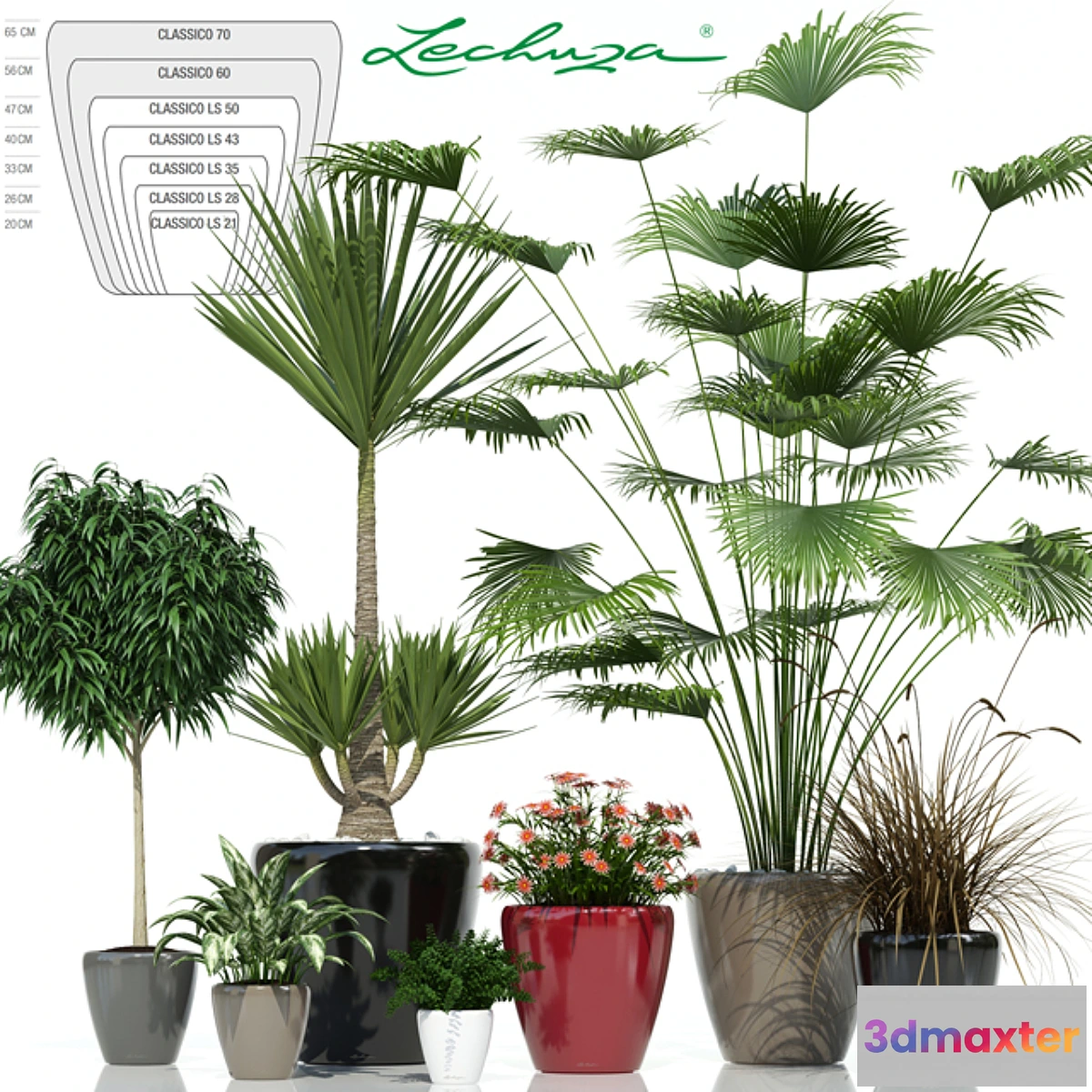 672139 - Lechuza CLASSICO