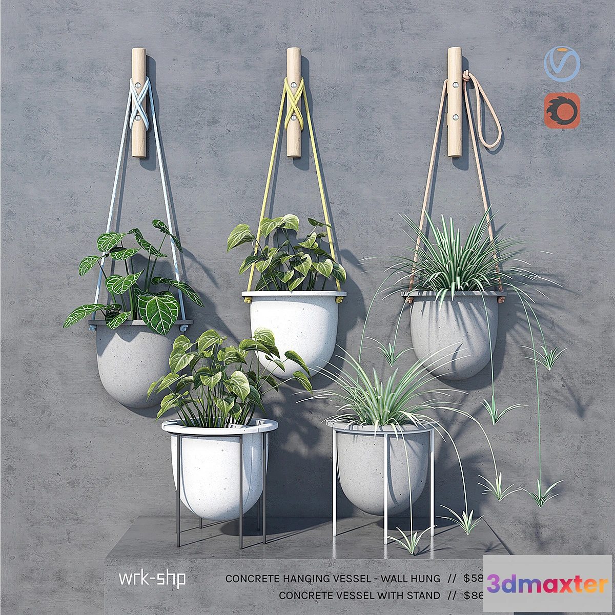 672197 - plant set