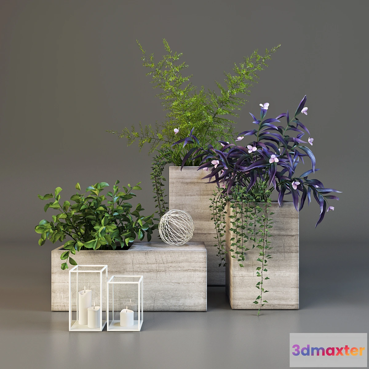 672239 - Decor set with plants
