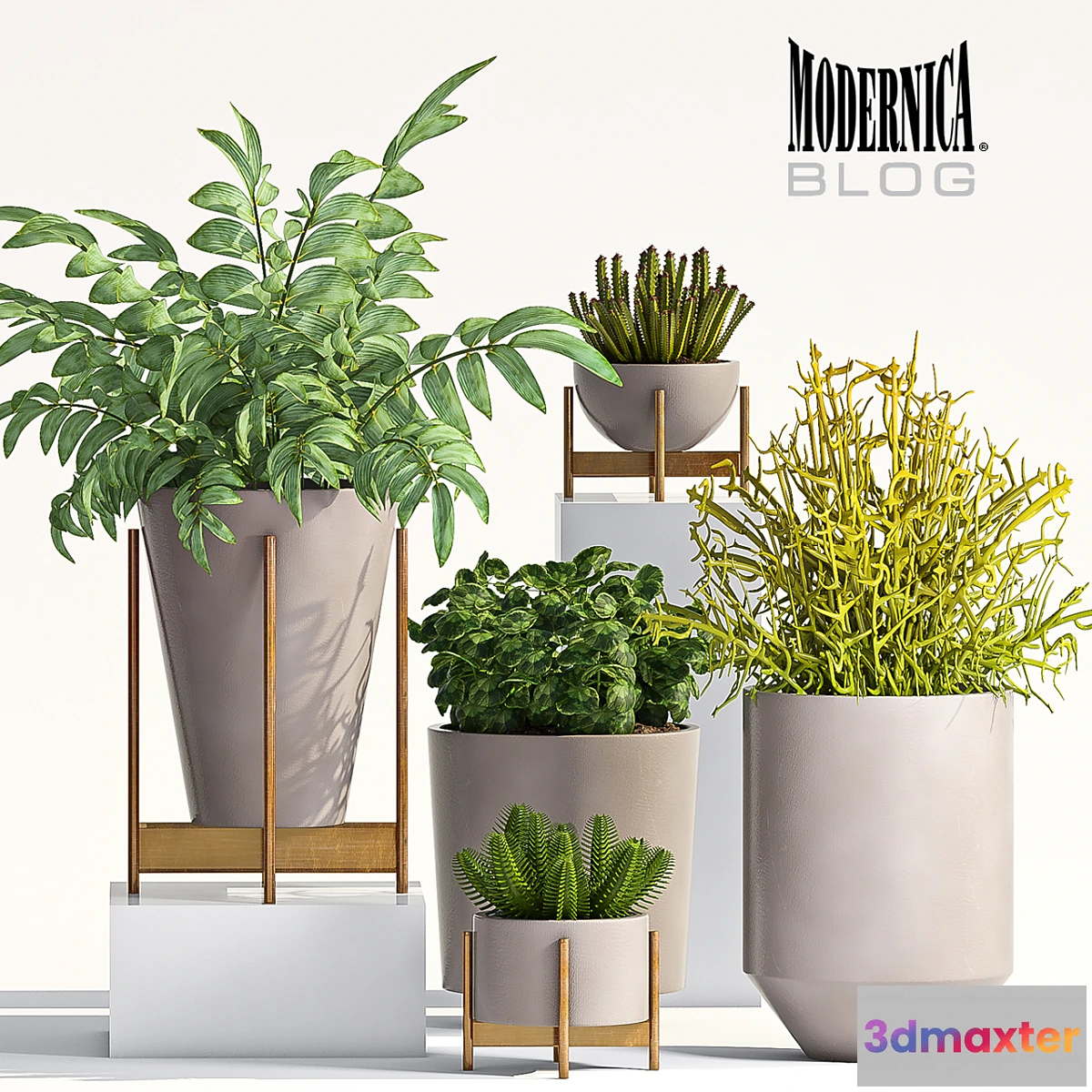 672243 - PLANT SET - 66