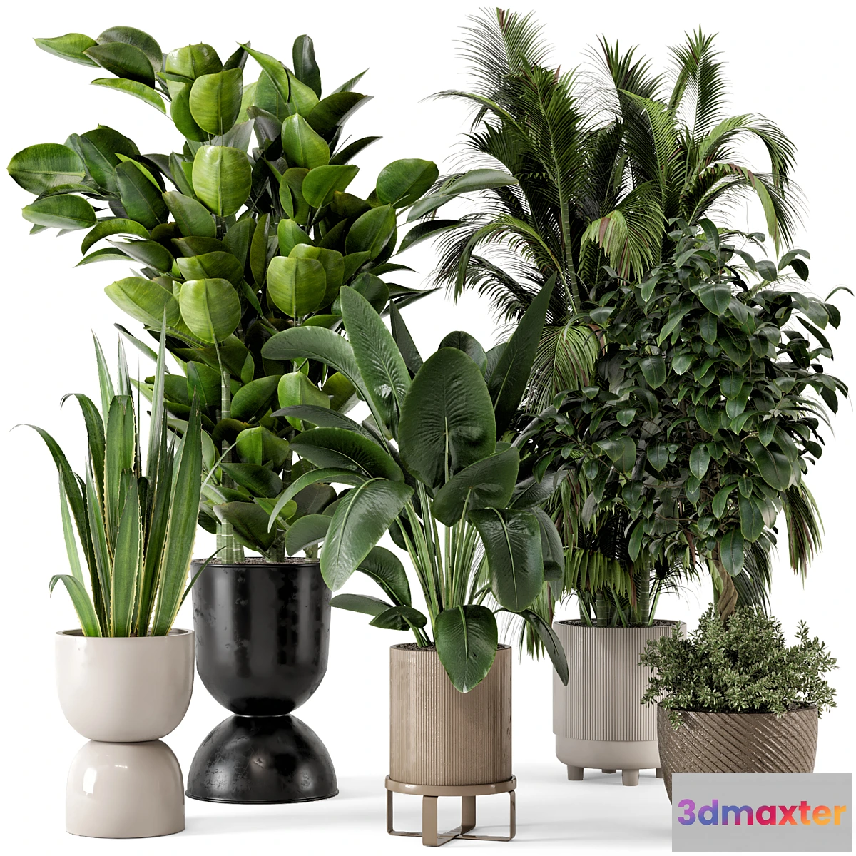 675707 - Indoor Plants in Ferm Living Bau Pot Large - Set 290
