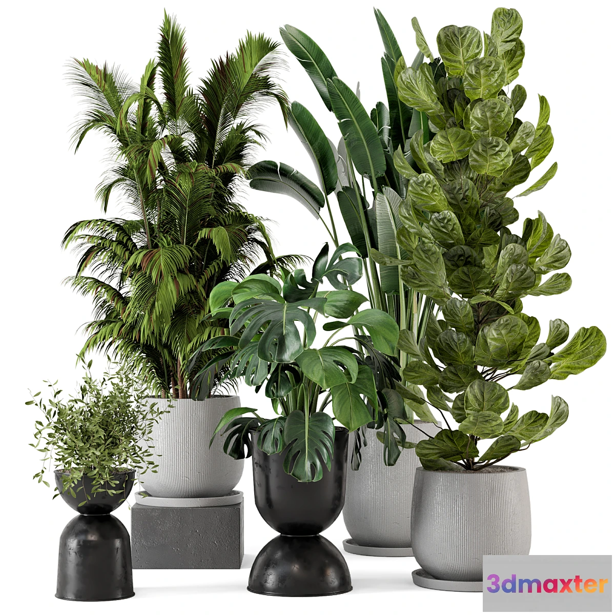 675711 - Indoor Plants in Ferm Living Bau Pot Large - Set 230