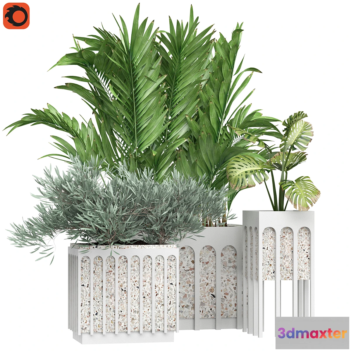 675715 - Flower Pack 166C