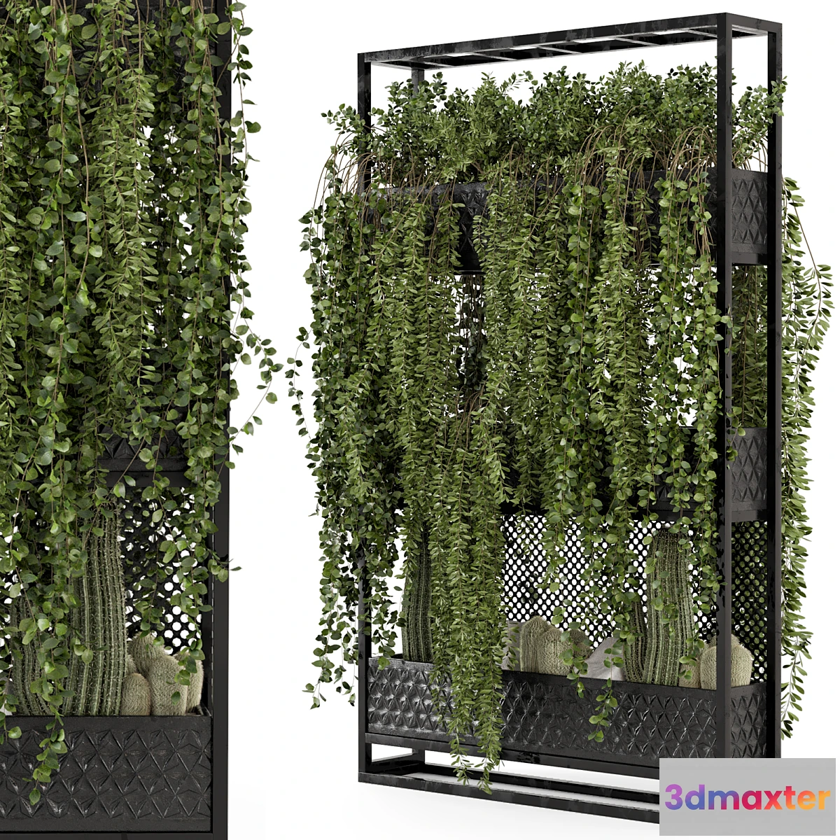 675717 - Indoor Hanging Plants in Metal Stand - Set 440