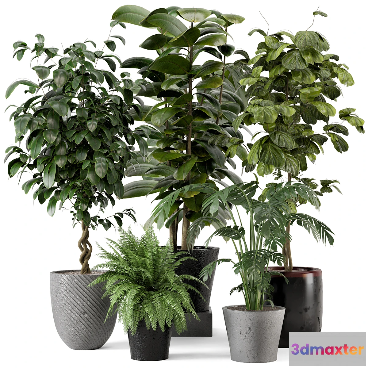 675721 - Indoor Plants in rusty Concrete Pot - Set 324