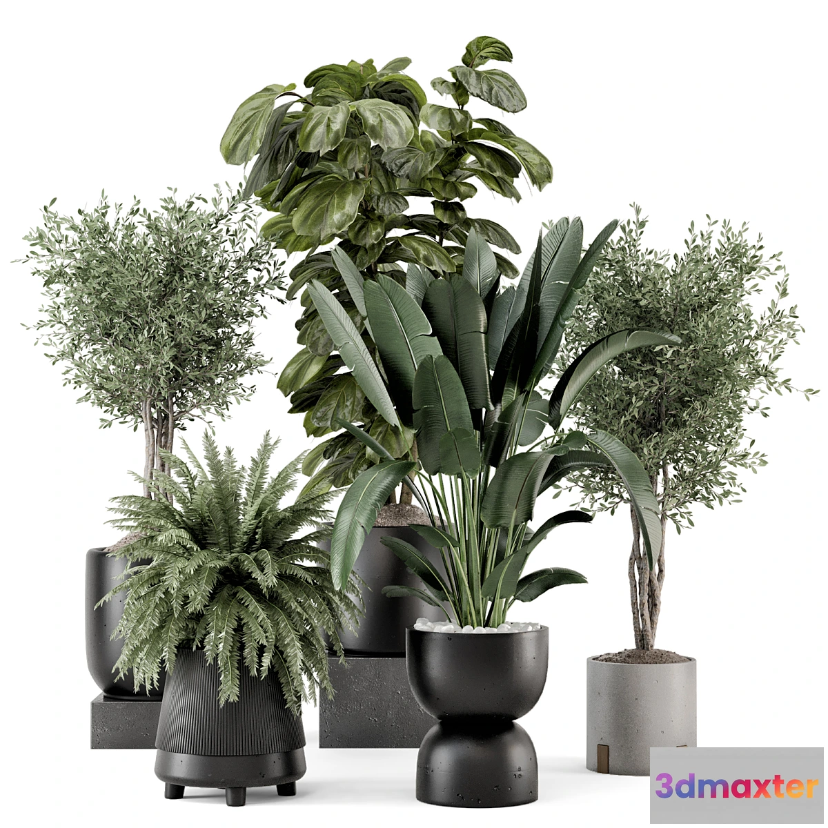 675735 - Indoor Plants in Ferm Living Bau Pot Large - Set 1277