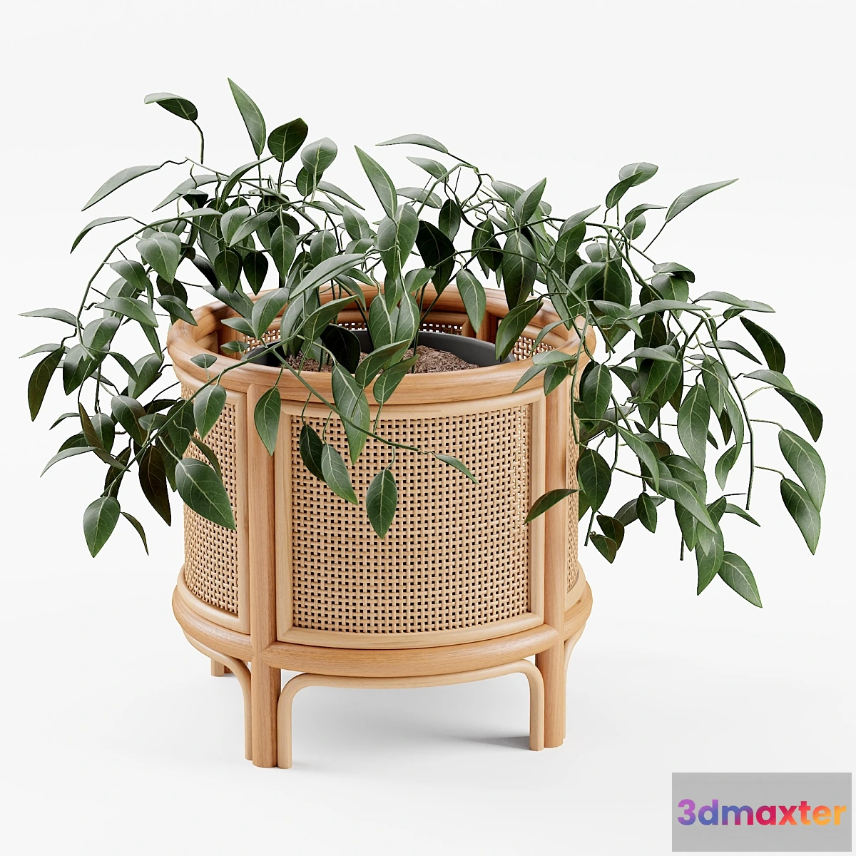 675739 - Rattan 12 “Planter