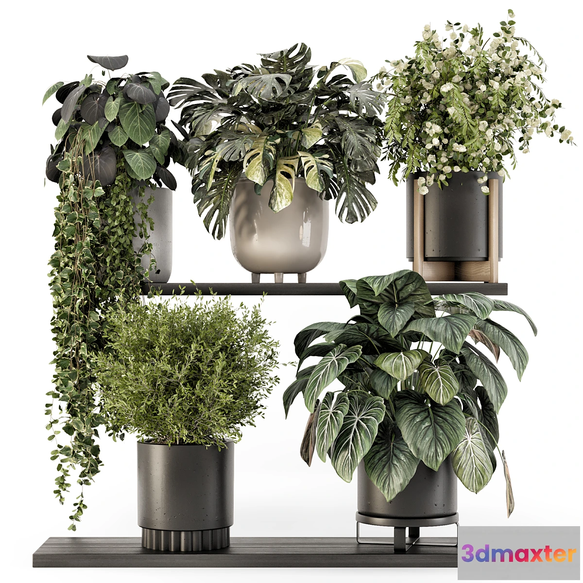 675741 - Indoor Plants in rusty Concrete Pot - Set 1512