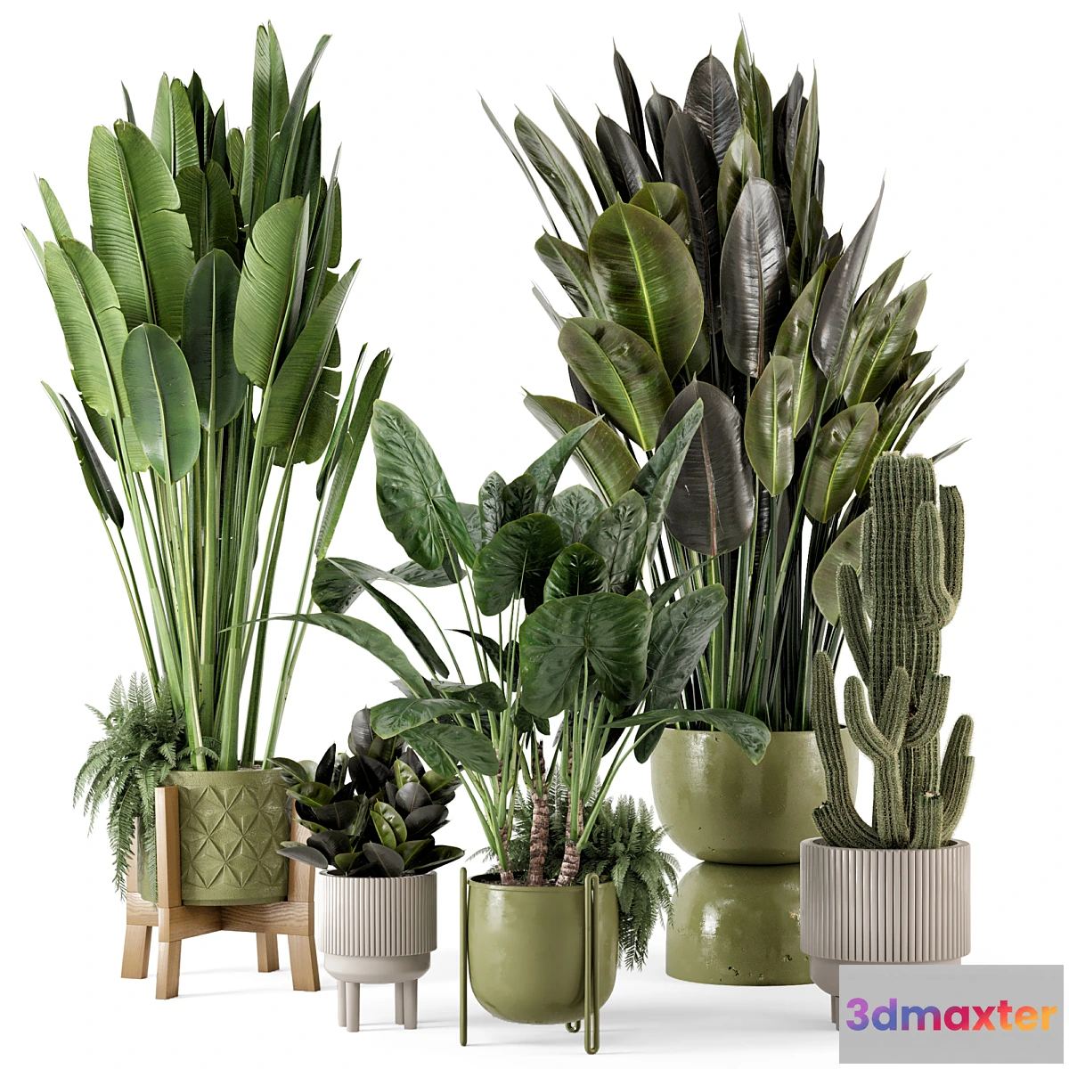 675757 - Indoor Plants in Standing Legs Small Bowl Concrete Pot - Set 563