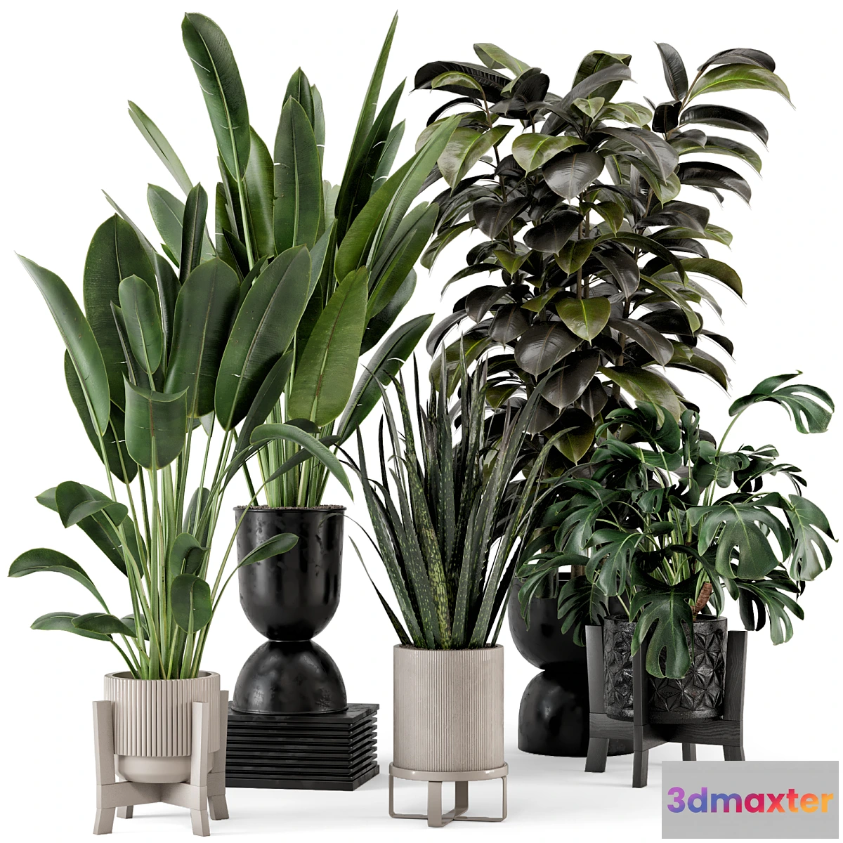 675763 - Indoor Plants in Ferm Living Bau Pot Large - Set 583