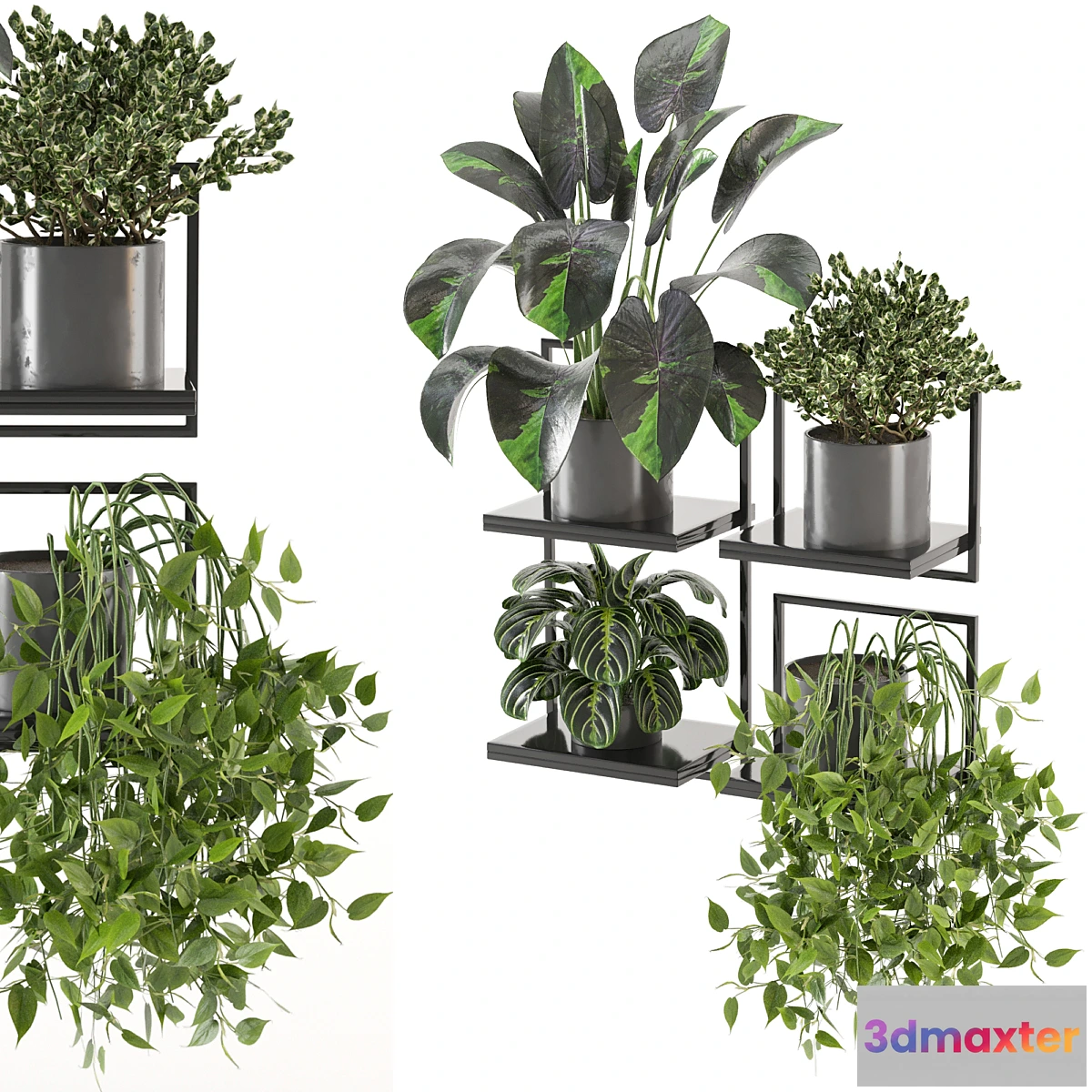 675767 - indoor plants on metal frame - Set 287