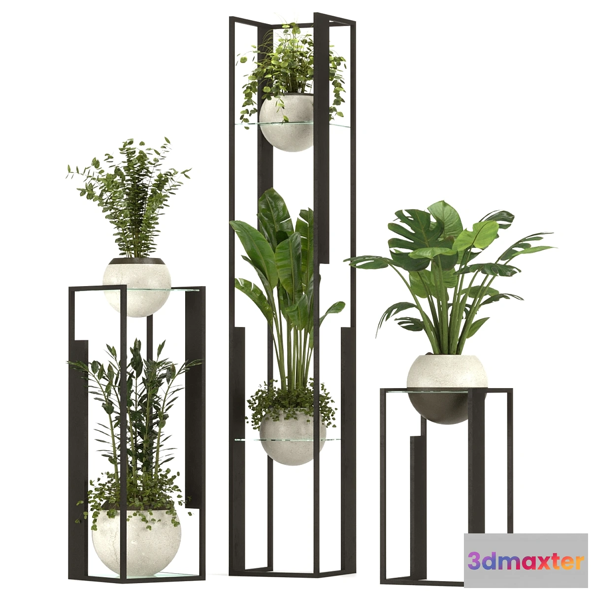 675775 - Collection Indoor Plants Nim12