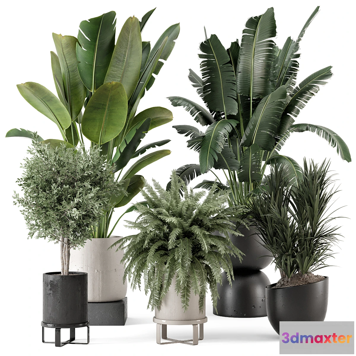 675777 - Indoor Plants in rusty Concrete Pot - Set 1167