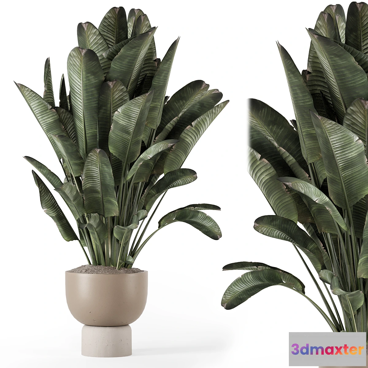 675779 - Indoor Plants in Ferm Living Bau Pot Large - Set 1507