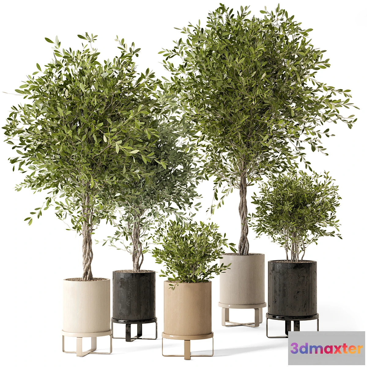 675787 - Indoor Plants in Ferm Living Bau Pot Large - Set 354