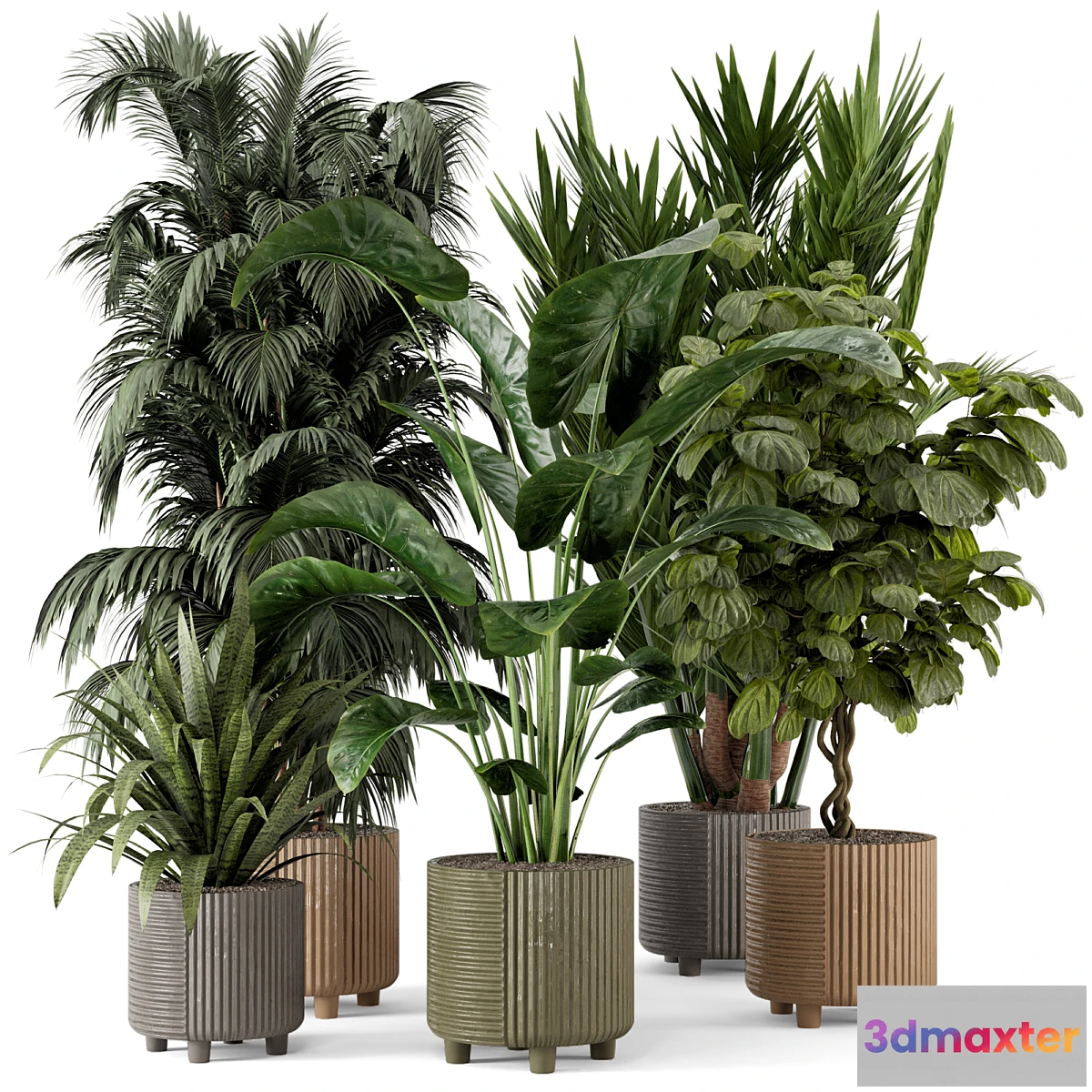 675805 - Indoor Planters in Cecilia Ficonstone Pot - Set 349
