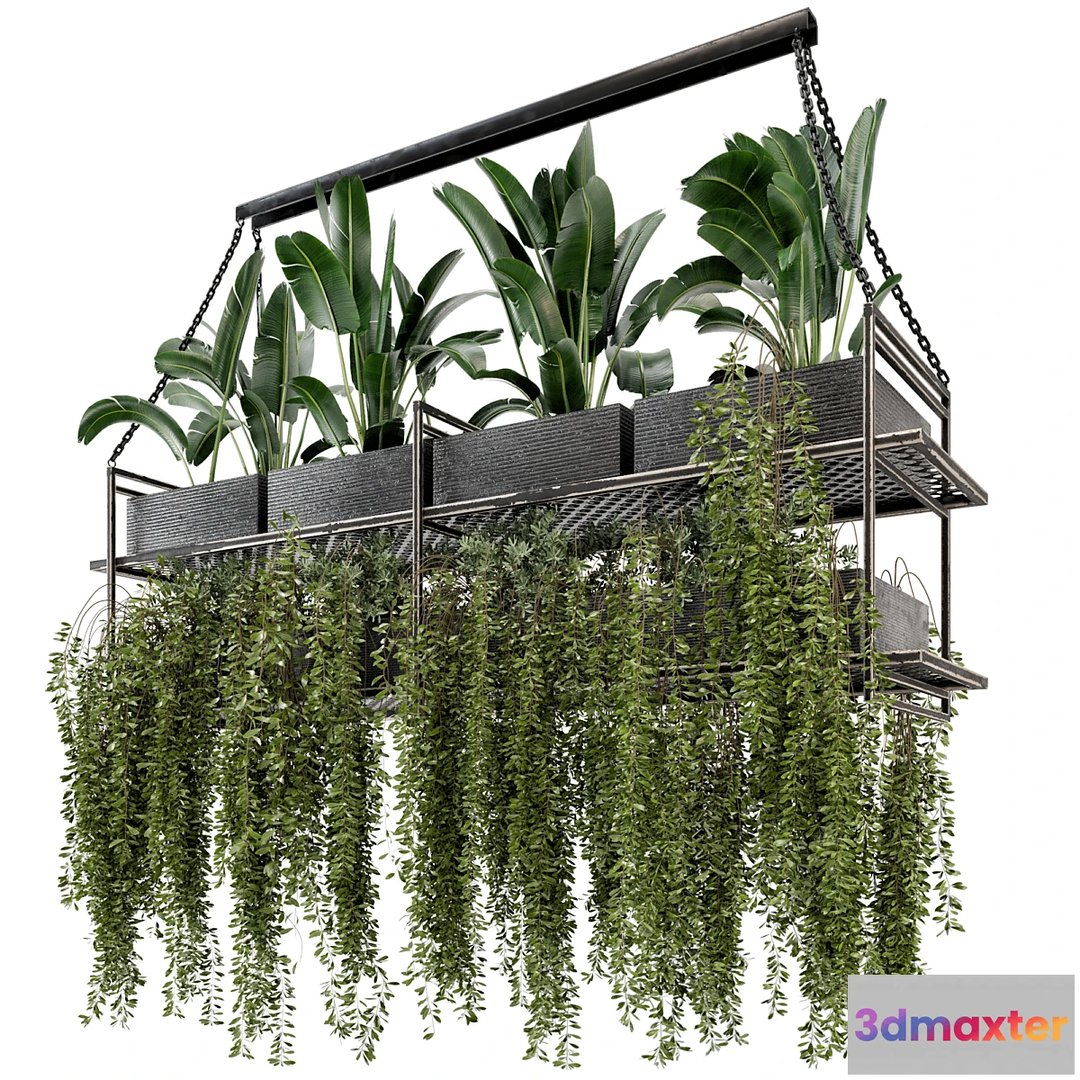 675807 - Indoor Hanging Plants in Metal Box - Set 269