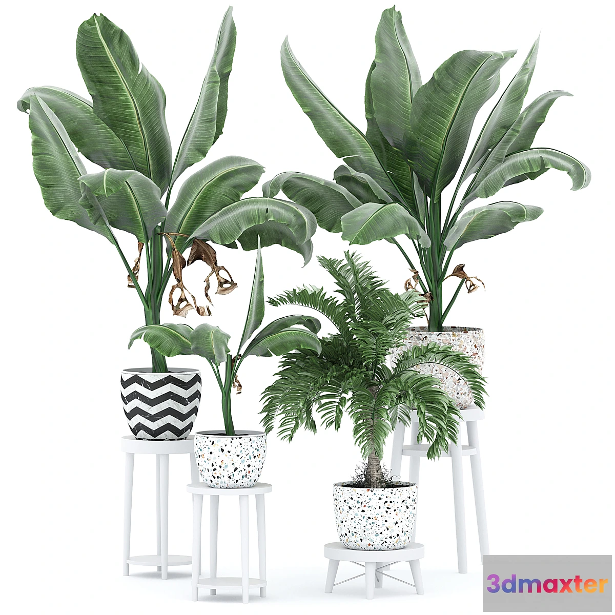 675811 - Flower Pack 231С