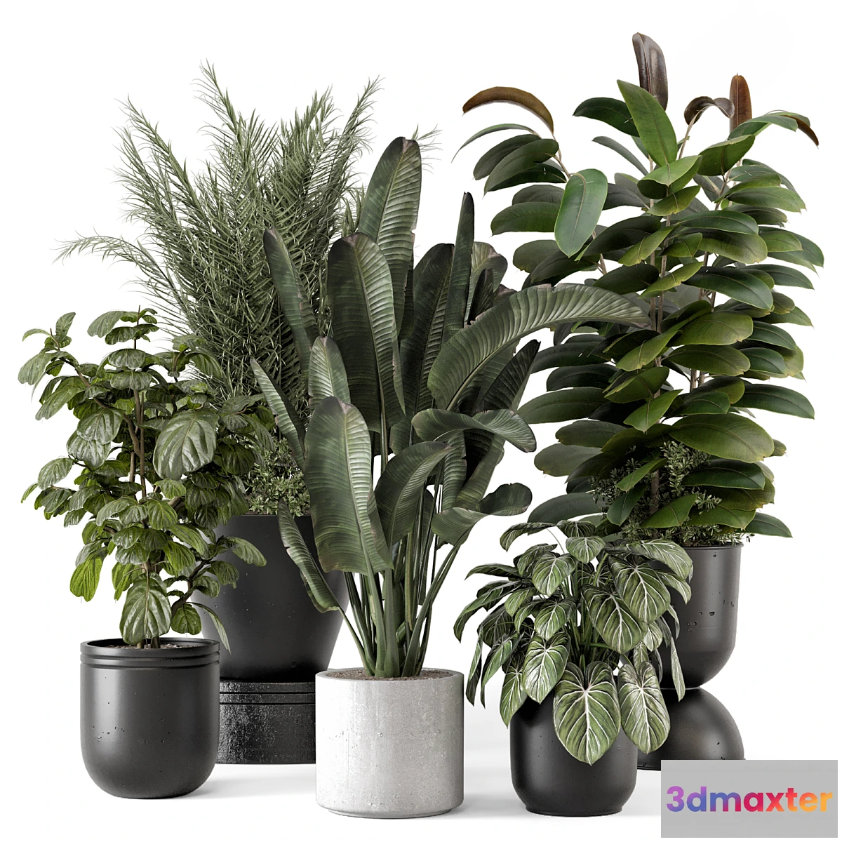 675813 - Indoor Plants in rusty Concrete Pot - Set 1265