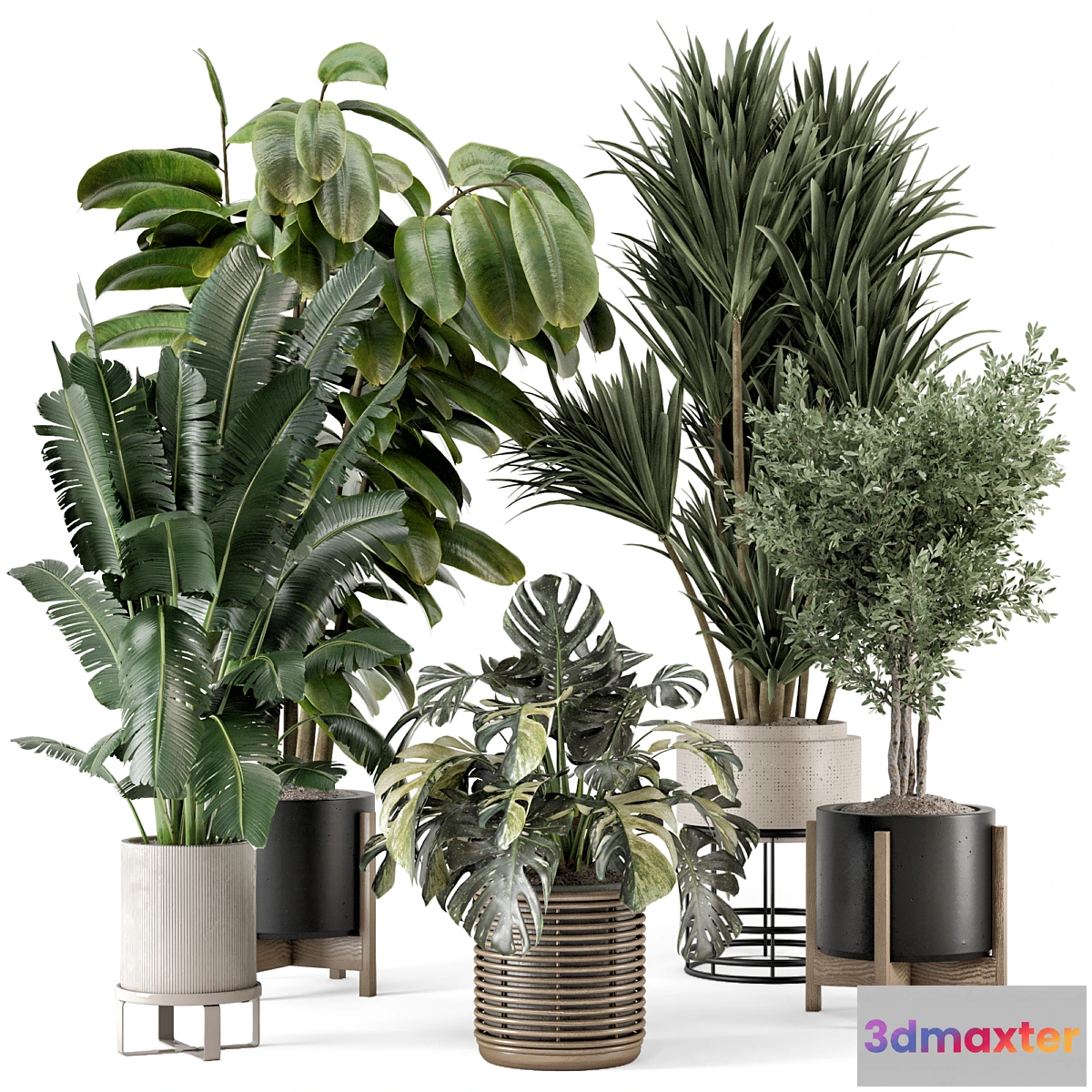675823 - Indoor Plants in Ferm Living Bau Pot Large - Set 1328