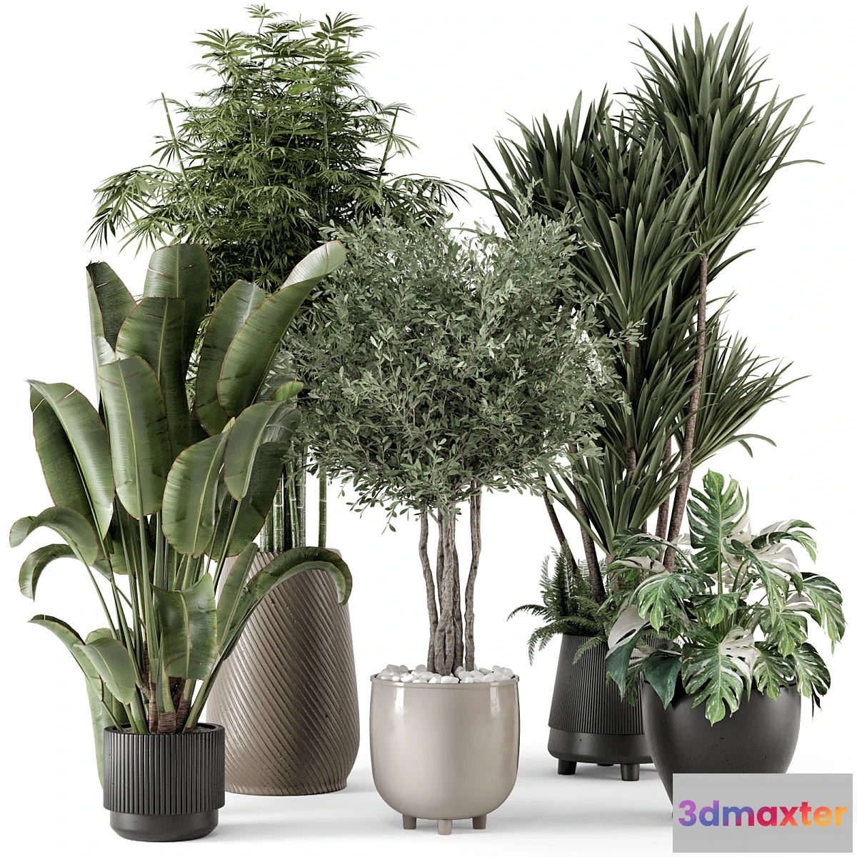 675825 - Indoor Plants in Ferm Living Bau Pot Large - Set 1325