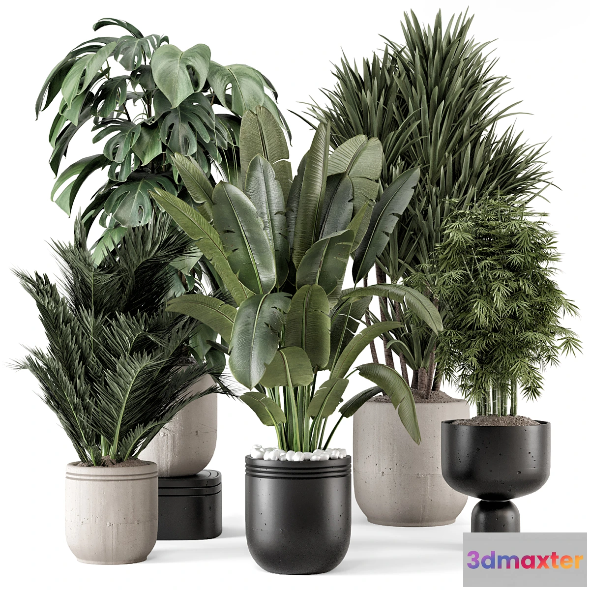 675827 - Indoor Plants in rusty Concrete Pot - Set 1331
