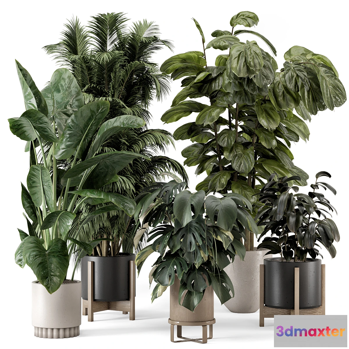 675837 - Indoor Plants in Ferm Living Bau Pot Large - Set 1361