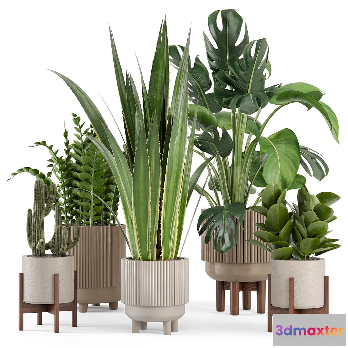675841 - Indoor Plants in Standing Legs Small Bowl Concrete Pot - Set 245