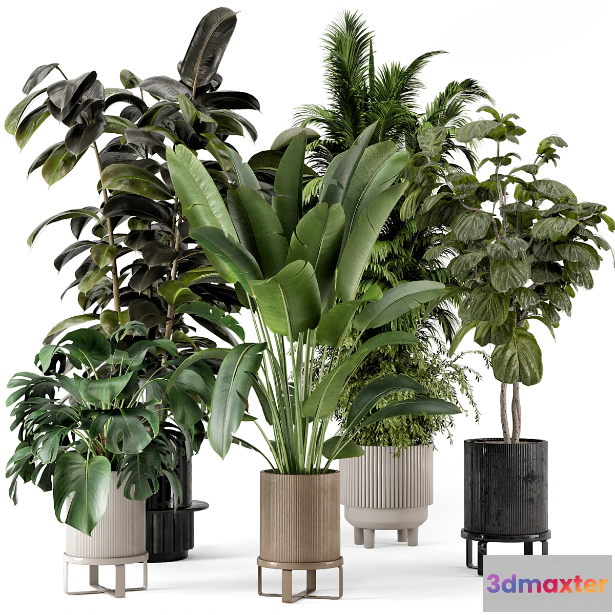 675843 - Indoor Plants in Ferm Living Bau Pot Large - Set 734