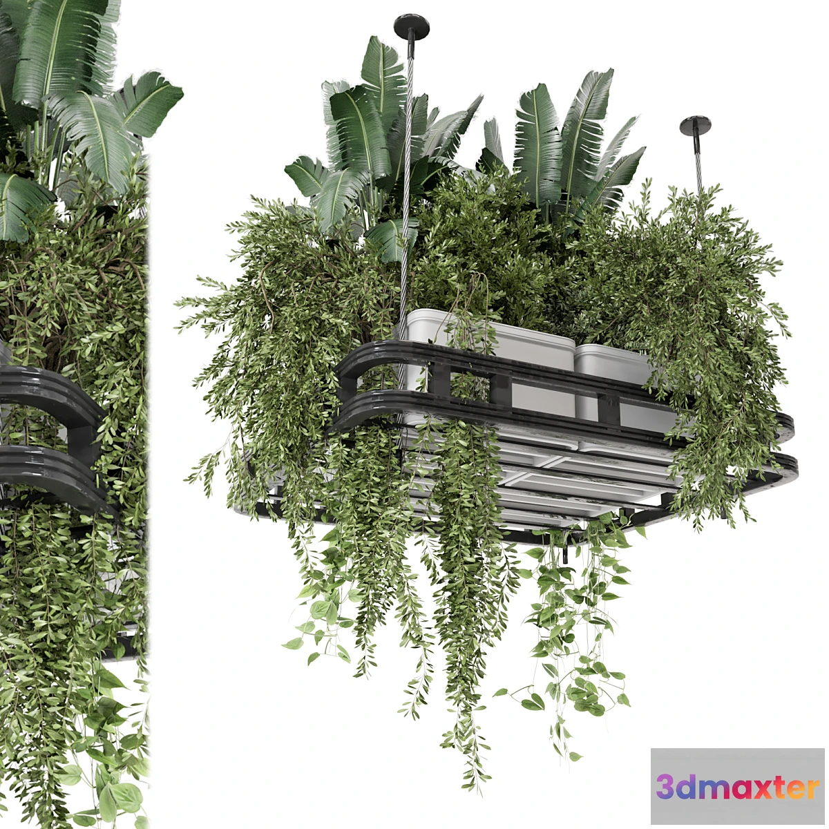675847 - Hanging Plants Set in Concrete Pot - Set 1113