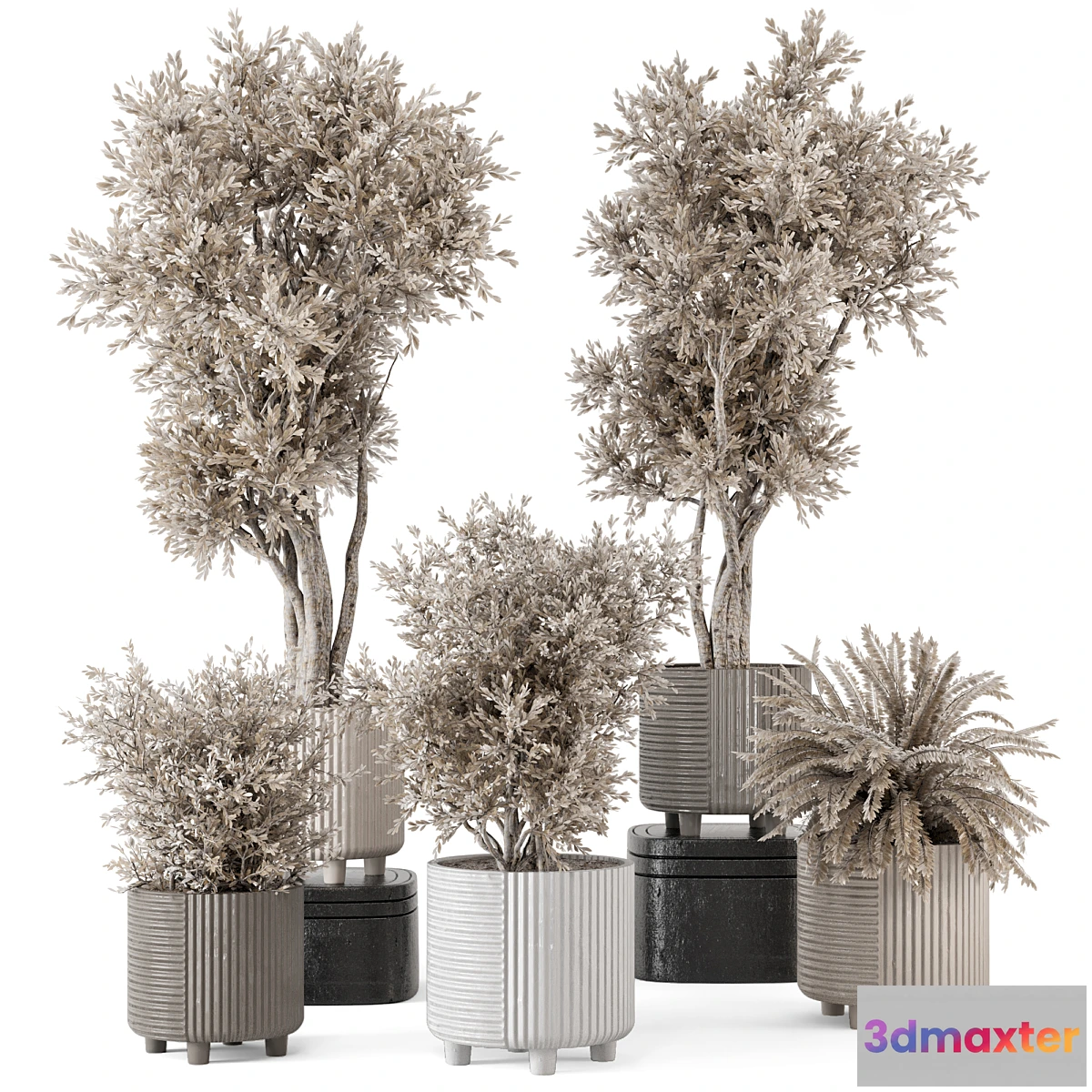 675859 - Indoor Plants in rusty Concrete Pot - Set 905
