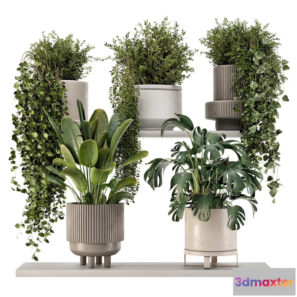 675861 - Indoor Hanging Plants in rusty Concrete Pot - Set 909