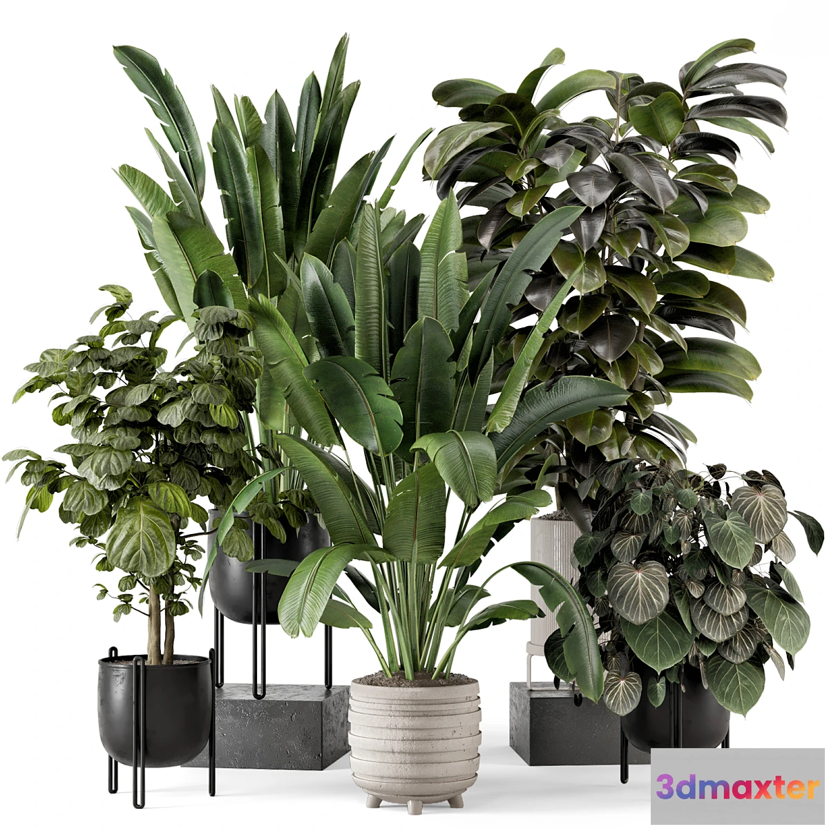 675881 - Indoor Plants in Ferm Living Bau Pot Large - Set 1208