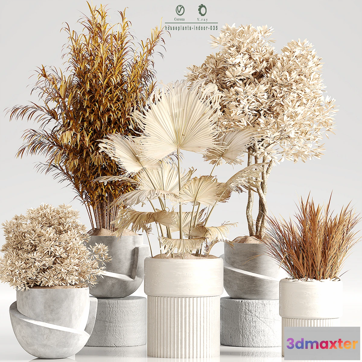 687570 - Indoor Plant Set 35 Dry Plants