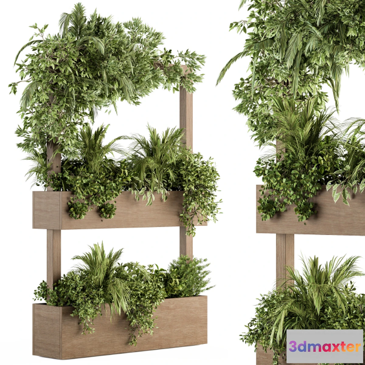687614 - Plant Box Stand - indoor Plants 303