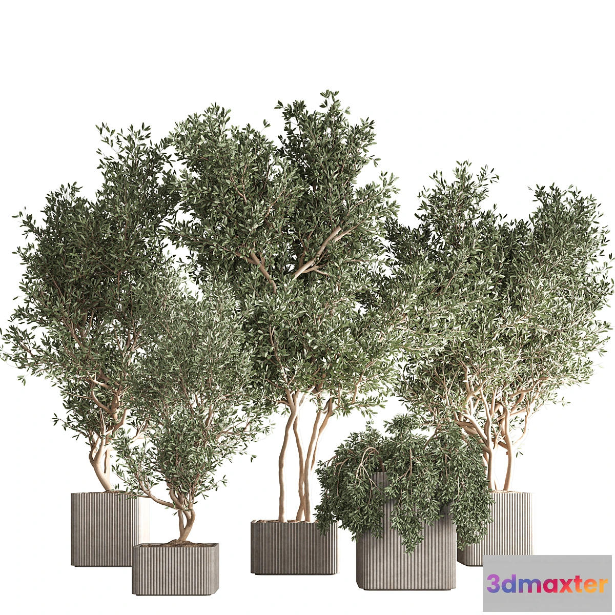 687626 - indoor plant set 30