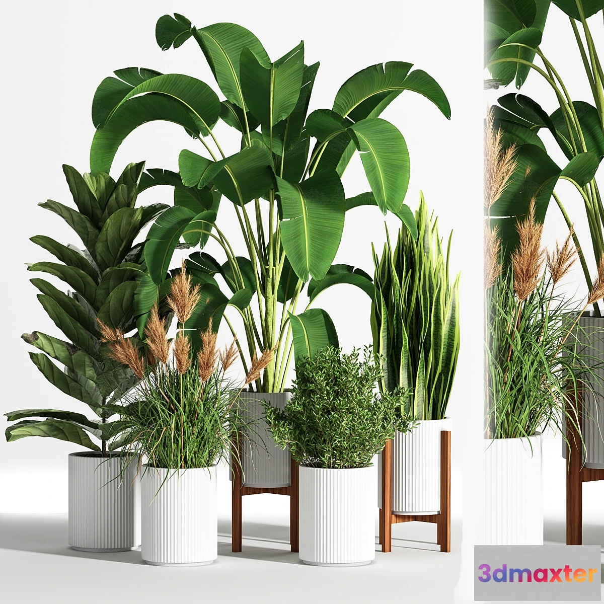 687630 - IndoorSetPlant05