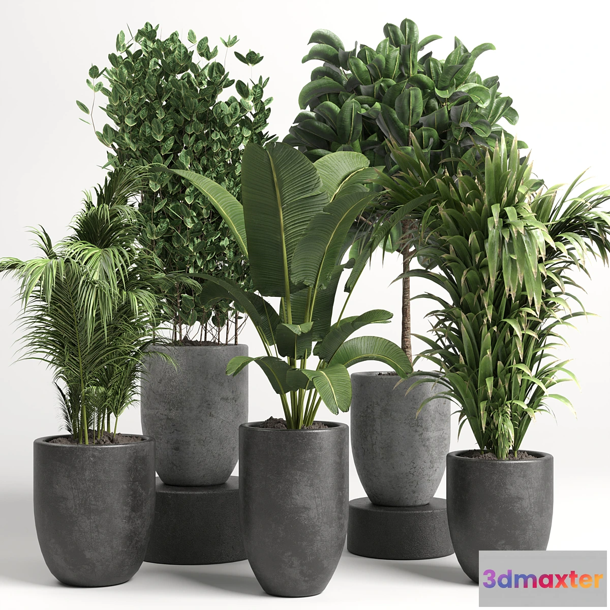 687634 - collection Indoor plant 46 vase concrete
