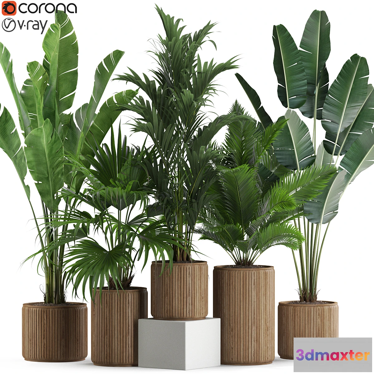 687636 - Plants collection 539