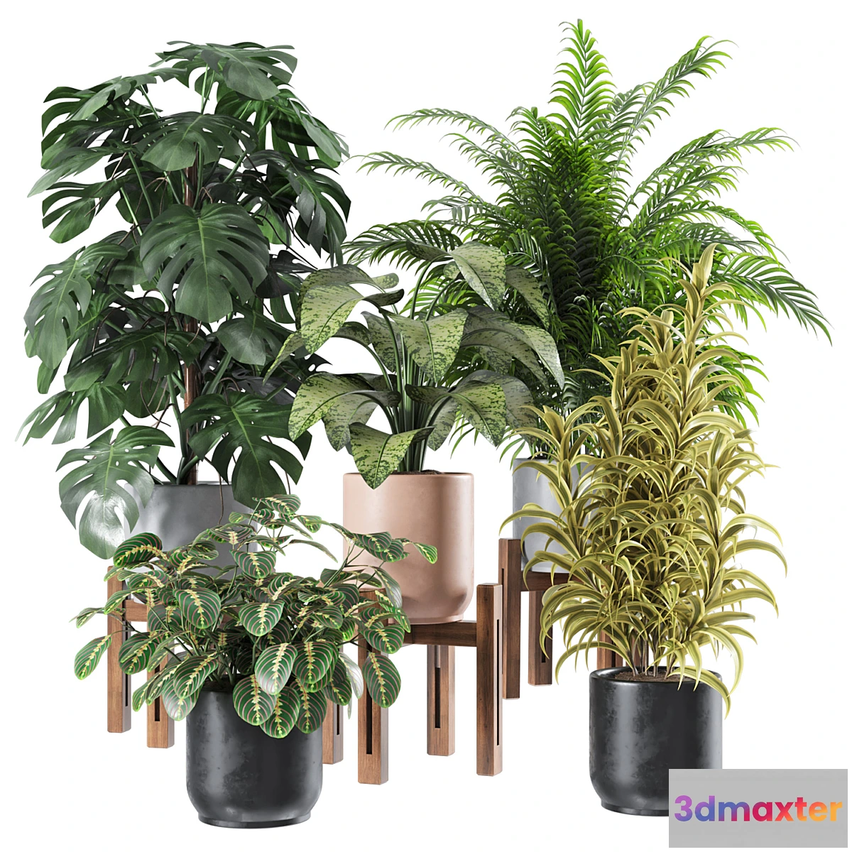 687642 - Indoor Plants Set 1