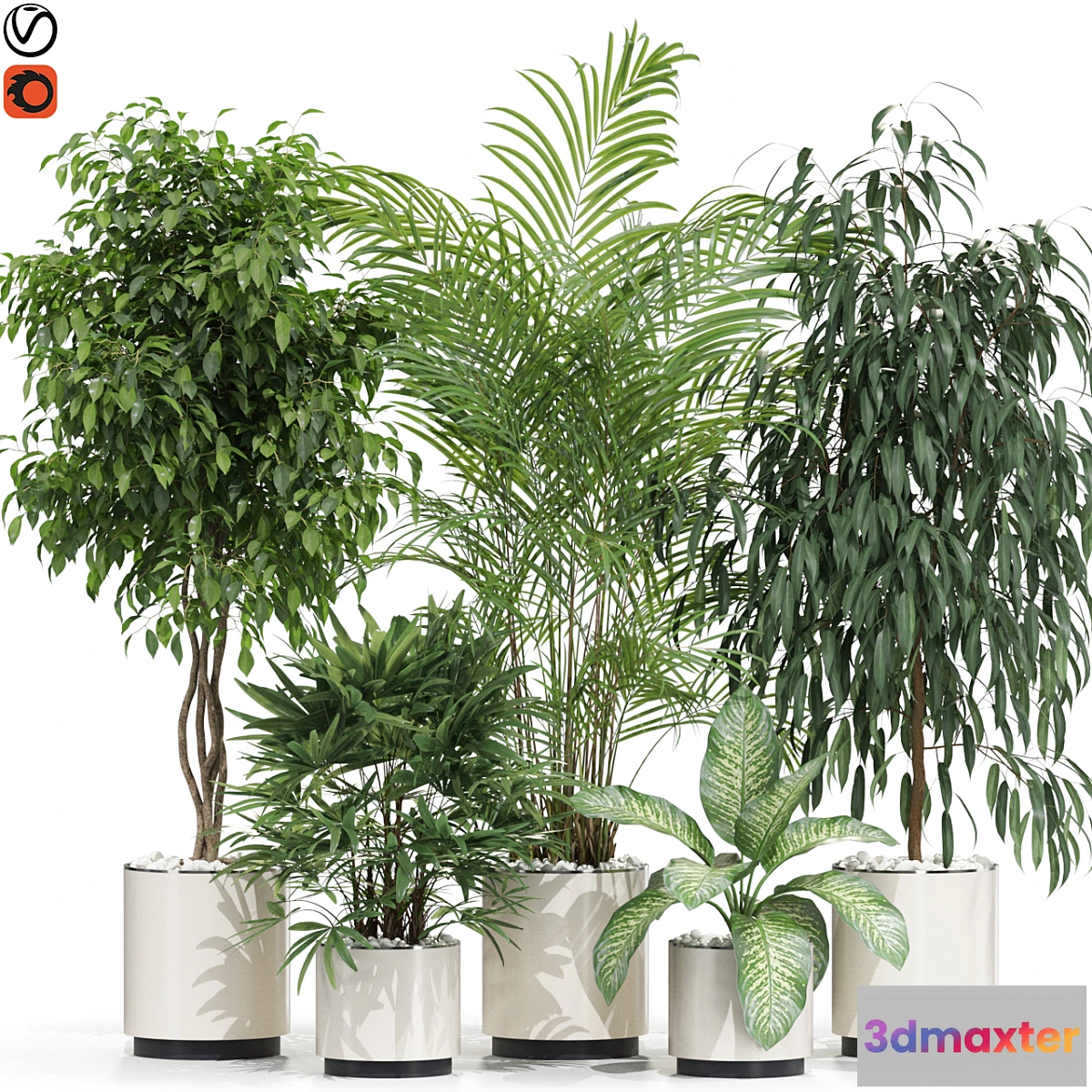 687652 - Plants collection 600