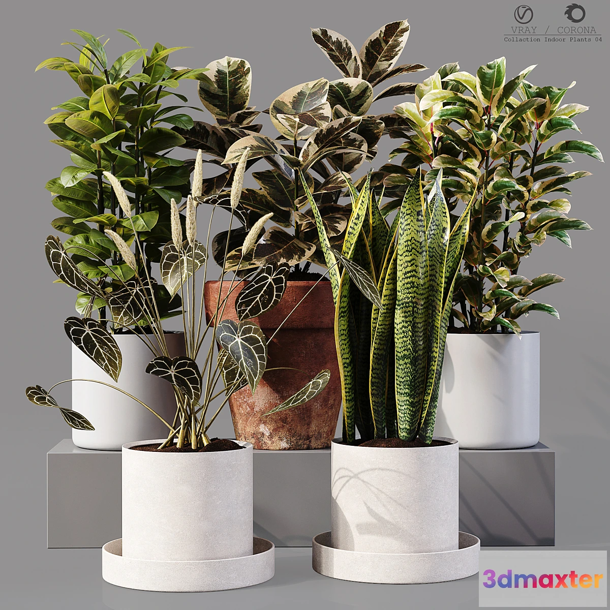 687656 - Collection Indoor Plants 04