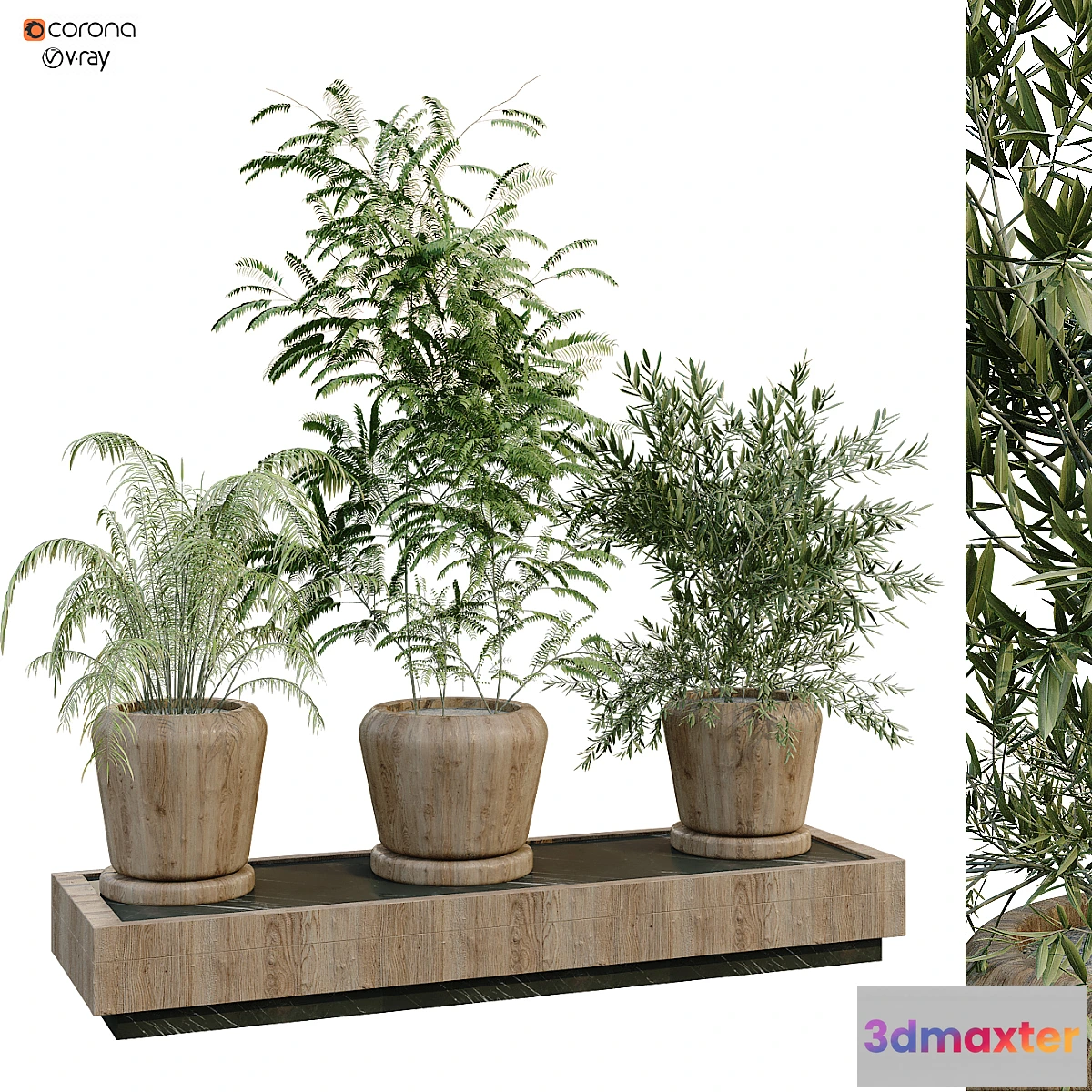 687662 - green plant box 269 - No.2