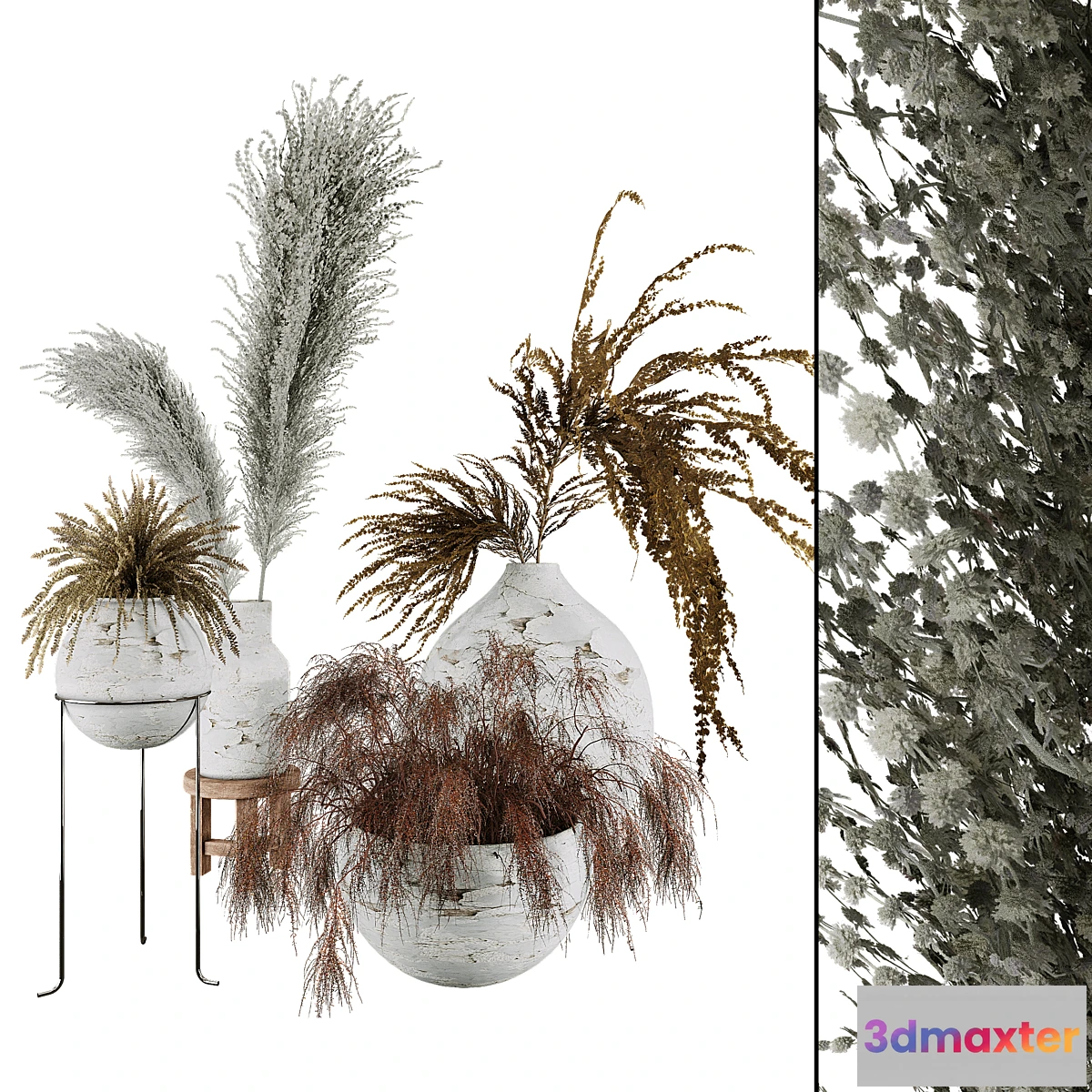 687690 - Plant Collection Set 01 - No.2