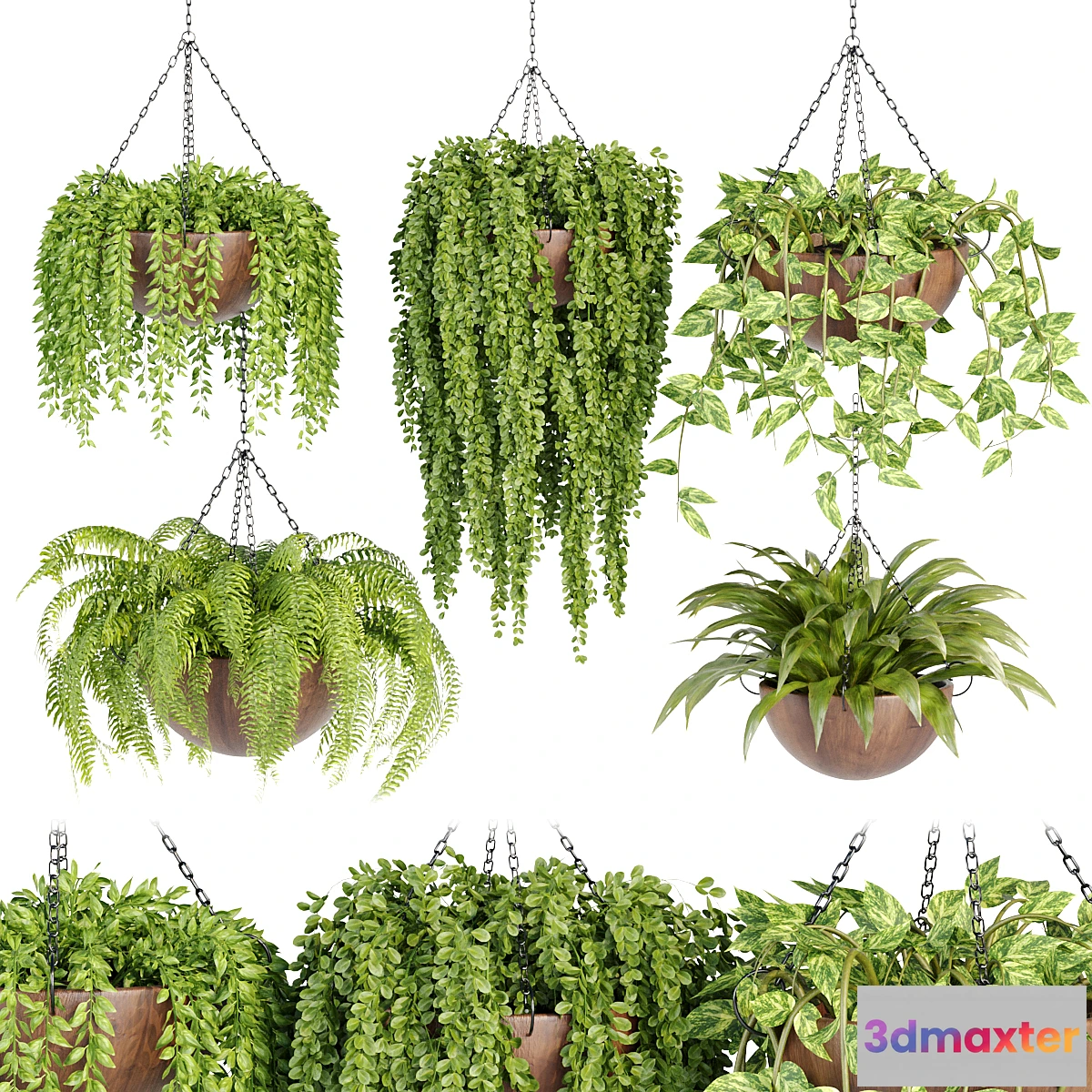 687696 - Hanging plants collection vol 33