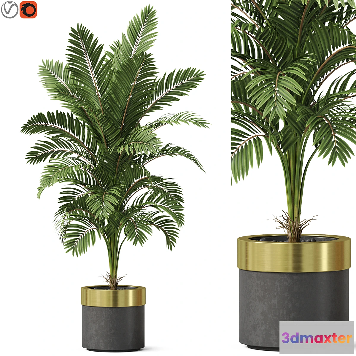 687700 - Plants collection 829