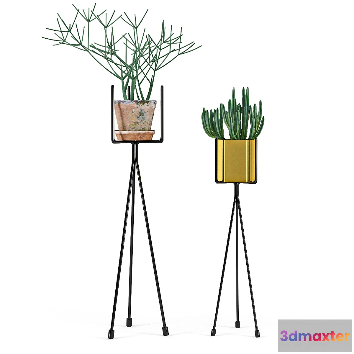 687704 - Shelf with Plants - No.2